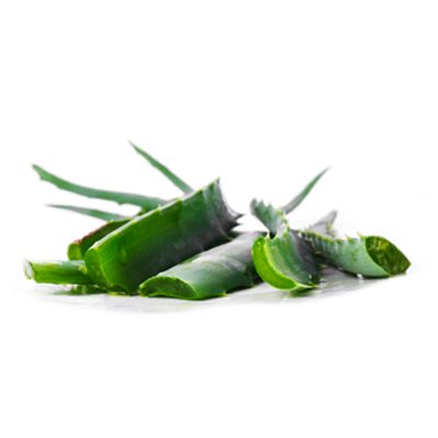 Olile_SPA_aloe_vera_2